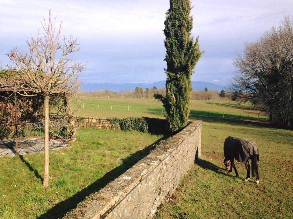 Auberge Des Chasseurs Echenevex Luaran gambar
